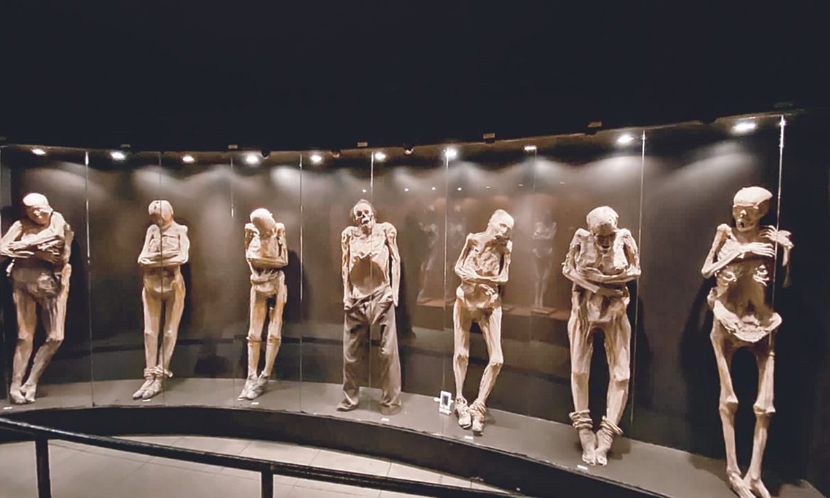 tras recientes adecuaciones museográficas hechas en el Museo de las Momias de Guanajuato, el brazo derecho del cuerpo momificado conocido popularmente como El ahogado sufrió un desprendimiento