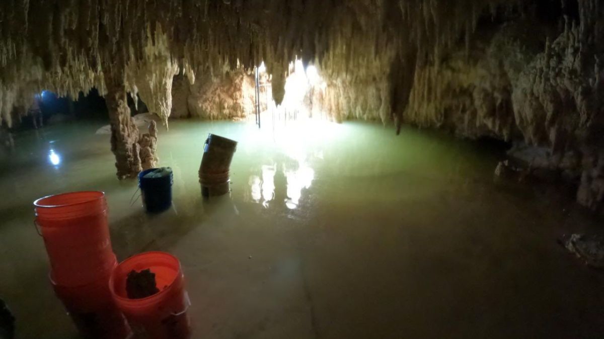 ECOCIDIO. El activista, mostró imágenes donde se ve que “trabajadores del mal llamado @TrenMayaMX, están removiendo el concreto derramado en 8 Balas” y Oppenheimer. ¡Faltan por “limpiar” otras 120 cavernas! ¿Y las rellenadas?”.