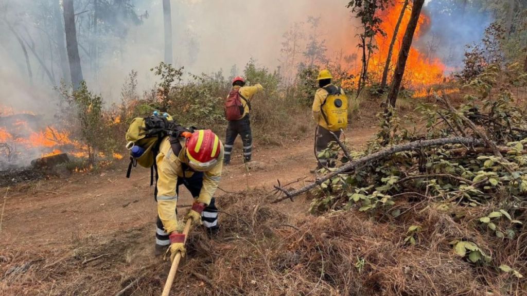 La Secretaría de Salud municipal de Guerrero informó que se contabilizaron más de siete mil casos de infecciones provocadas por el humo de incendios forestales