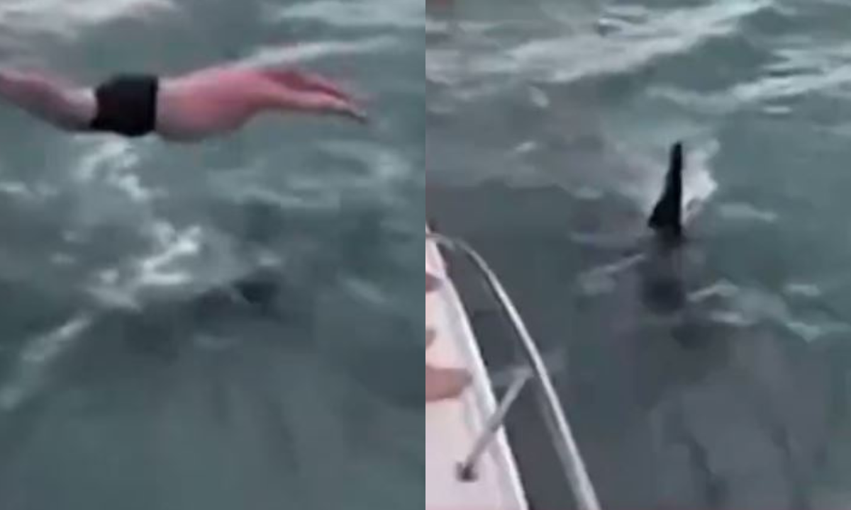 Hombre salta sobre orca