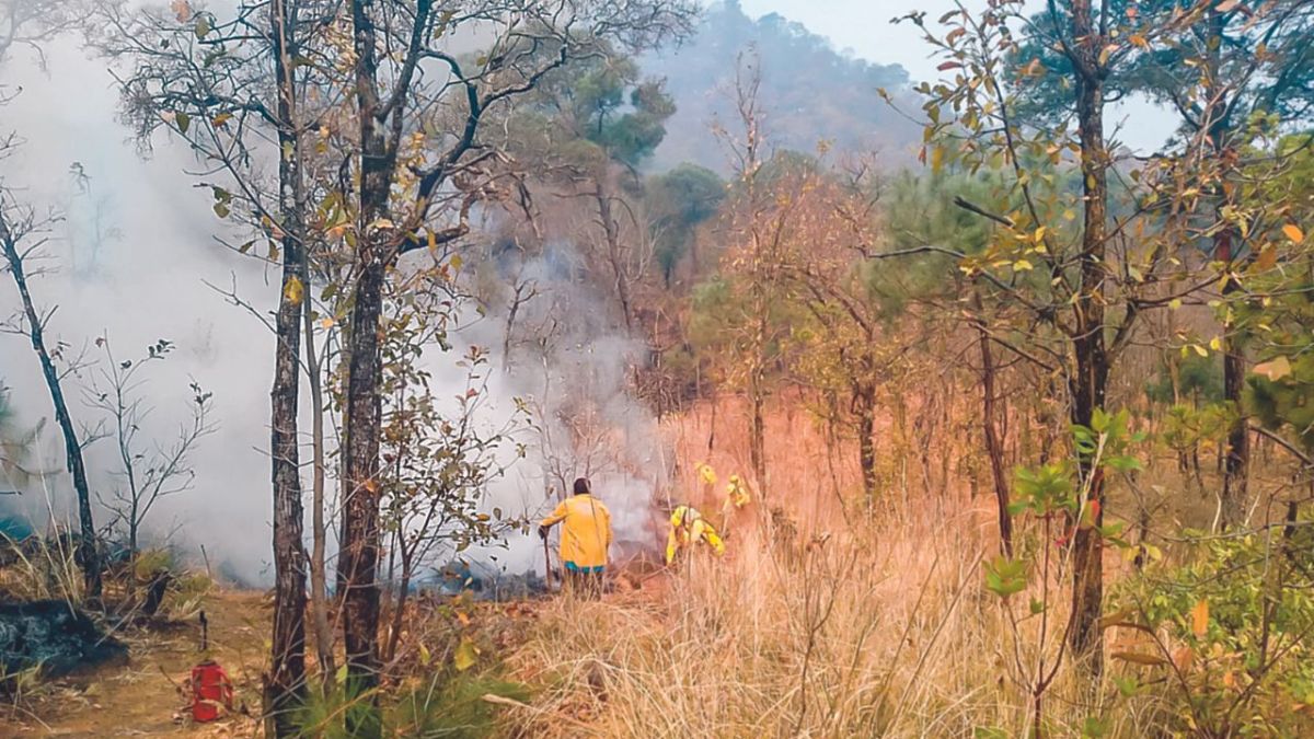 La ola de incendios forestales que afecta a Valle de Bravo, Estado de México, comenzaron el fin de semana y ayer continuaban