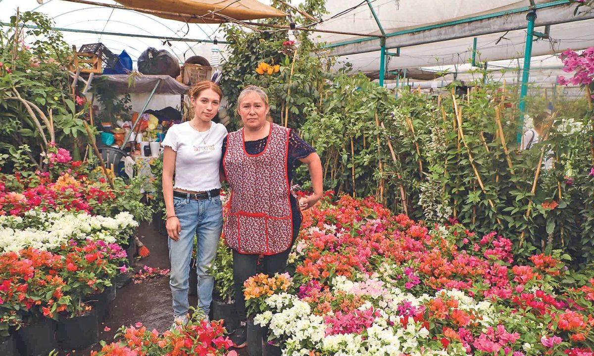 Un ejemplo de mamás y mujeres valiosas son Jessica, Liliana y doña Matilde, productoras de flor en Xochimilco, quienes trabajan en el Palacio de la Flor