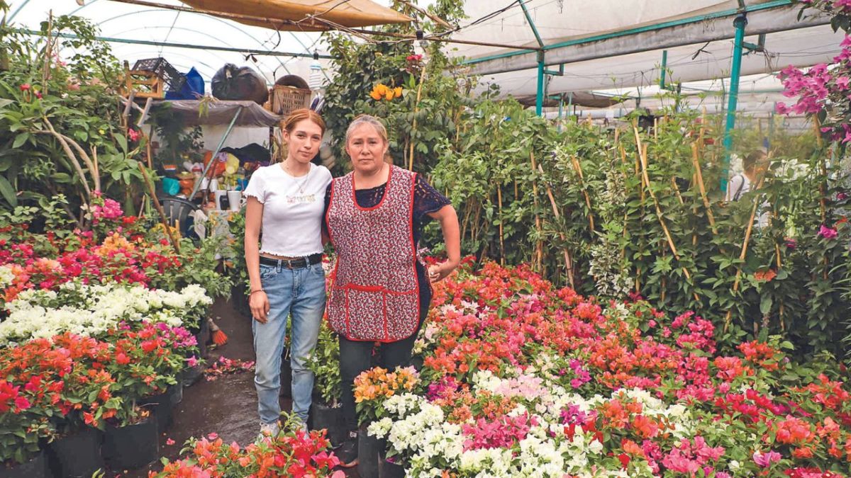 Un ejemplo de mamás y mujeres valiosas son Jessica, Liliana y doña Matilde, productoras de flor en Xochimilco, quienes trabajan en el Palacio de la Flor