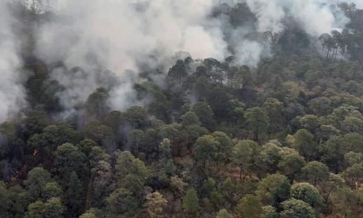 DAÑOS. En el Parque Nacional Uruapan, en Michoacán, los siniestros afectaron más de 400 hectáreas de bosque.