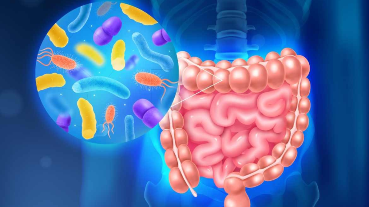 ¿Qué es la microbiota intestinal y cómo mejorarla?