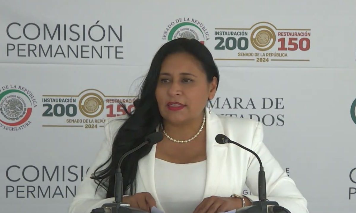 La presidenta del Senado Ana Lilia Rivera acusó ser amedrentada por la SCJN por el caso de la designación de comisionados del INAI