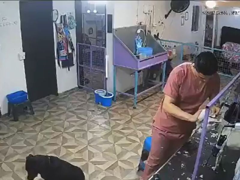 VIDEO: Trabajador de veterinaria golpea a un perrito en León