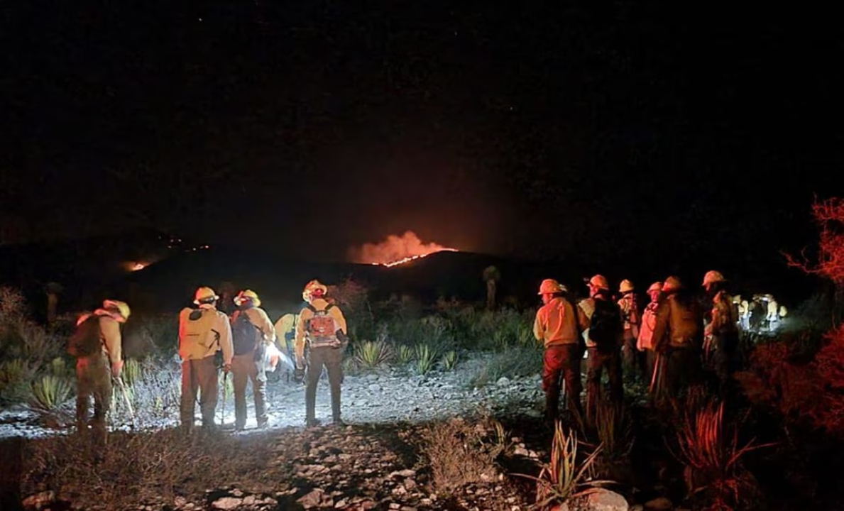 Incendio Forestal Dr. Arroyo, Nuevo León/ Foto Especial