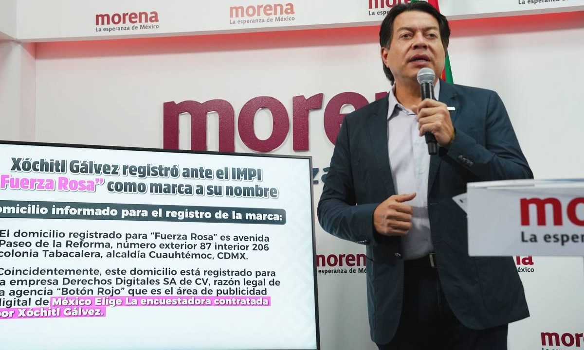 El dirigente nacional de Morena, Mario Delgado, aseguró que el movimiento “Marea Rosa” es una farsa, dado que esta tuvo un origen partidista