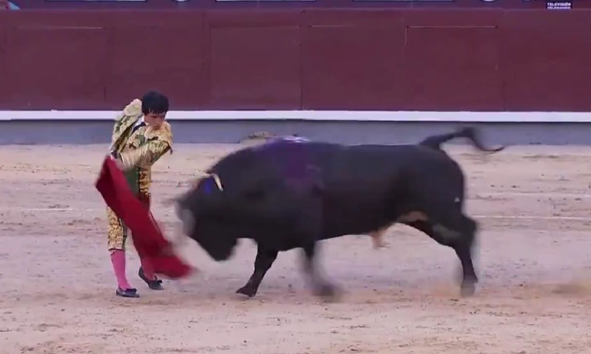 Sexto toro del día cornea al mexicano Isaac Fonseca en Madrid